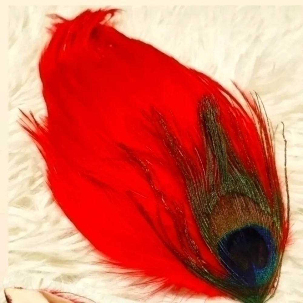 Vintage Regal Feathers Hair Clip